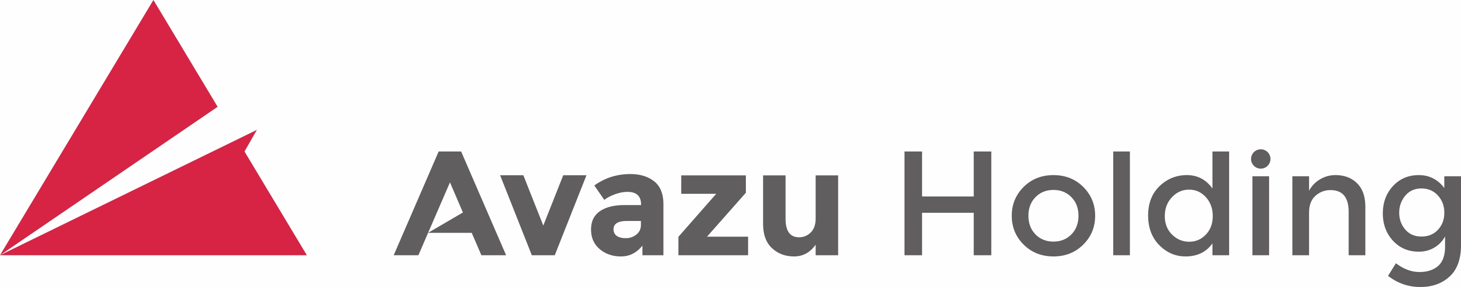 Avazu holding-横版